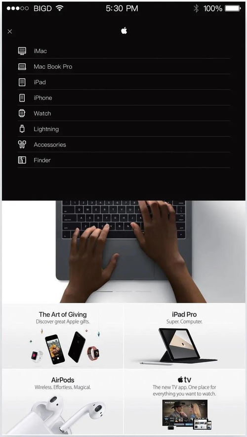 網(wǎng)頁與網(wǎng)站設(shè)計(jì)的UI分類全解析 你掌握了嗎？